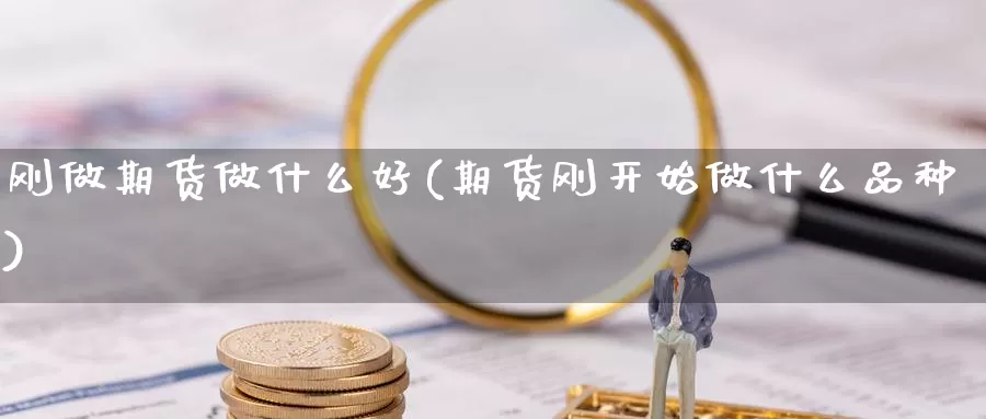 刚做期货做什么好(期货刚开始做什么品种)_https://www.162082.com_期货入门_第1张