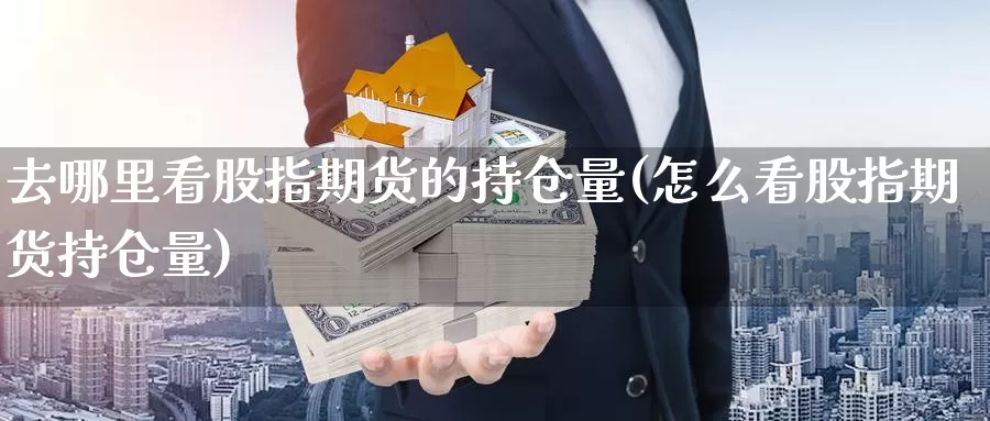 去哪里看股指期货的持仓量(怎么看股指期货持仓量)_https://www.162082.com_期货入门_第1张