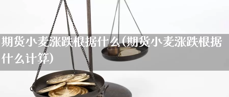 期货小麦涨跌根据什么(期货小麦涨跌根据什么计算)_https://www.162082.com_期货入门_第1张