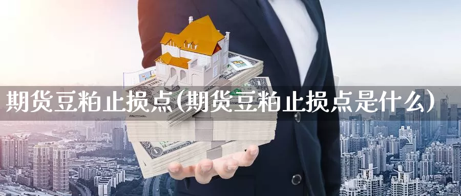 期货豆粕止损点(期货豆粕止损点是什么)_https://www.162082.com_期货行情_第1张