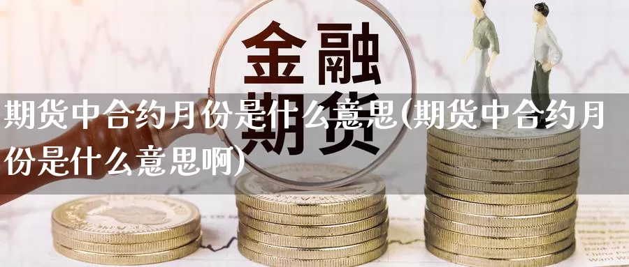 期货中合约月份是什么意思(期货中合约月份是什么意思啊)_https://www.162082.com_期货入门_第1张