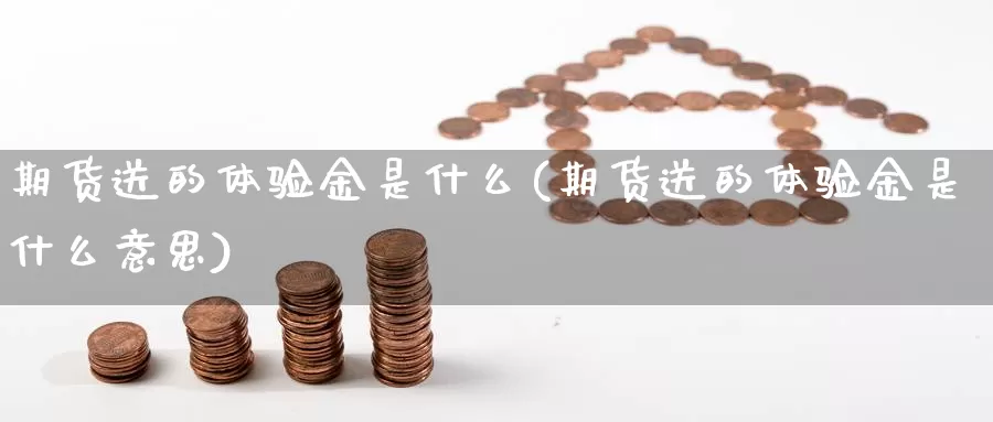 期货送的体验金是什么(期货送的体验金是什么意思)_https://www.162082.com_期货入门_第1张