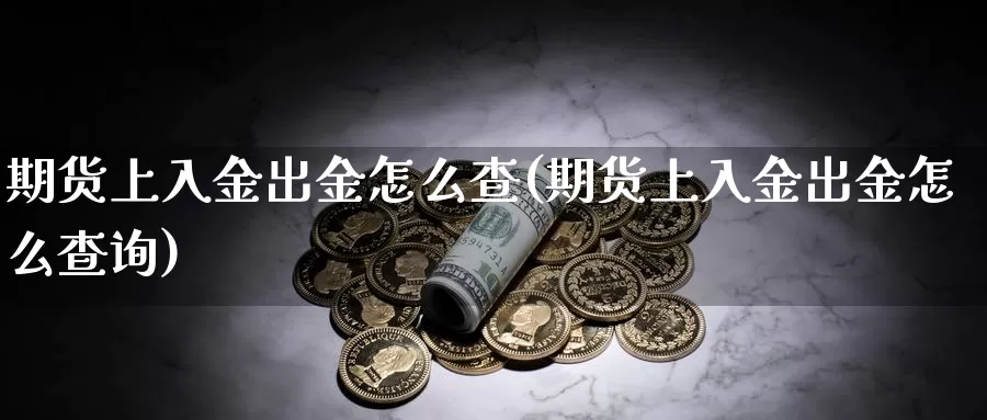 期货上入金出金怎么查(期货上入金出金怎么查询)_https://www.162082.com_期货入门_第1张