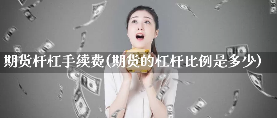 期货杆杠手续费(期货的杠杆比例是多少)_https://www.162082.com_期货入门_第1张